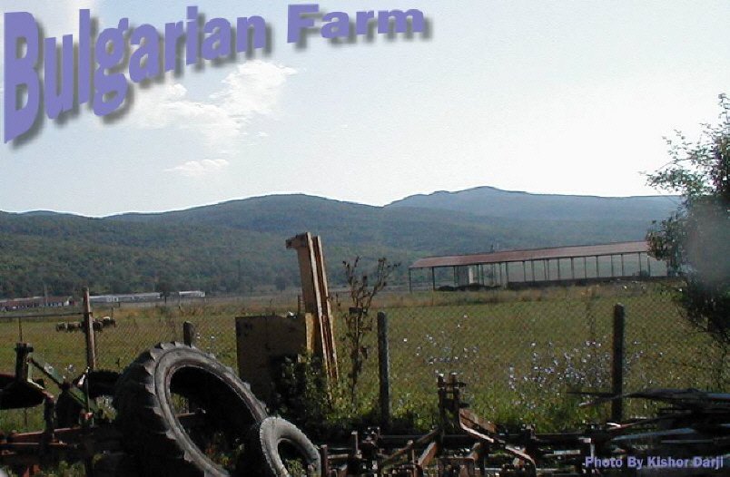 bulgarianfarm.jpg