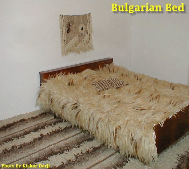 bulgarianhouse8.jpg