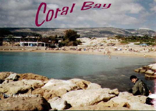coralbay6.jpg