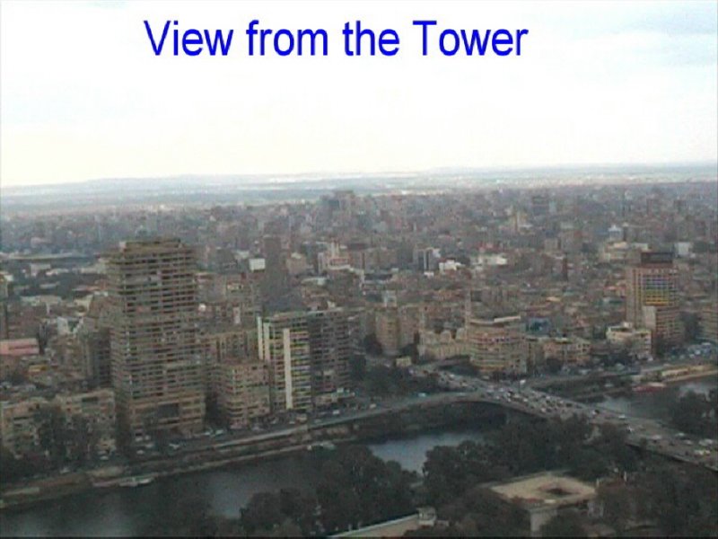 towerview05.jpg
