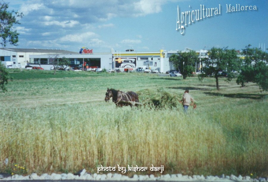 agricultural01.jpg